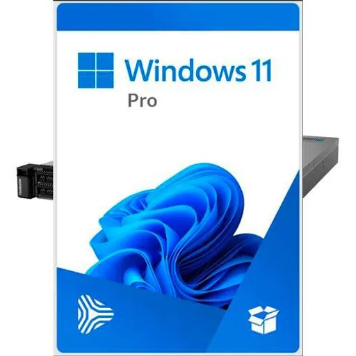 Microsoft Windows 11 Pro professional